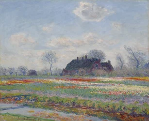 Tulip Fields at Sassenheim, 1886