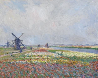 Tulip fields near The Hague by Claude Monet (1840-1926), size: 66 x 81.5