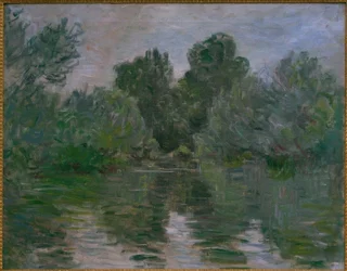 A Branch of the Seine
