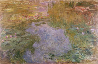 Water Lilies