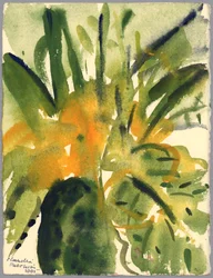 Primroses, 2005