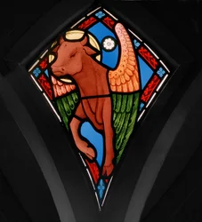 Bull