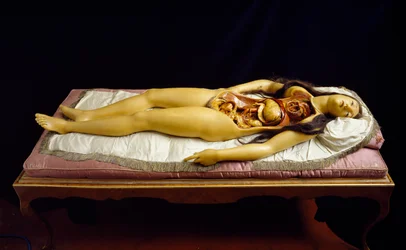 The Dismantable Venus, Anatomical Model