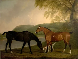 Horses and Dog in a Landscape