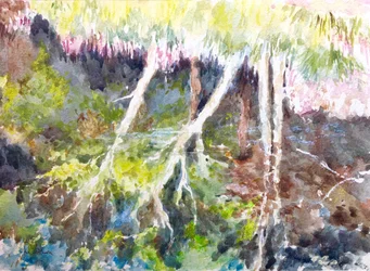 Woodland Reflections, Silver Lake