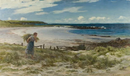 The Sands of White Hills