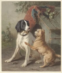 Two Dogs by a Kennel
