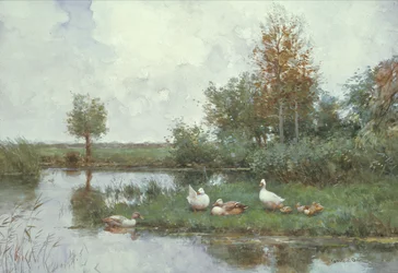 Ducks in a River Landscape
