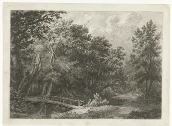 Forest Scene with Wooden Bridge