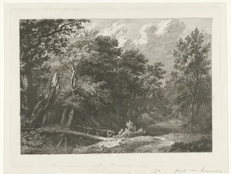 Forest Scene with Wooden Bridge