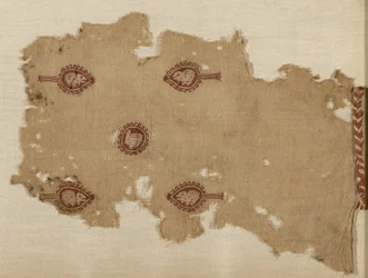 Fragment (Tunic)