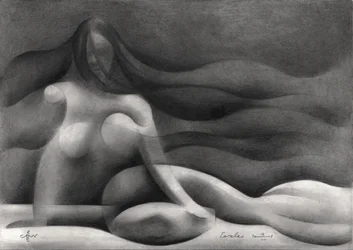 Abstract Female Form