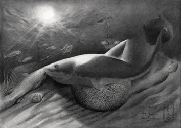 Shark and Siren