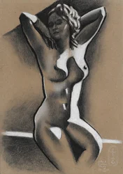 Silent Contour Study