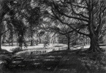 Sunlit Park Path