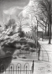 Winter Park Shadows