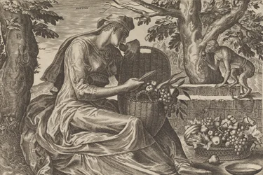 Taste, from The Five Senses