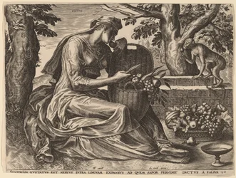 Gustus