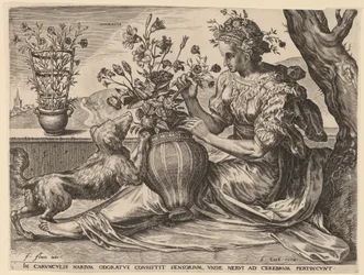 Odoratus
