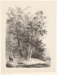 Two Figures Walking in a Forest