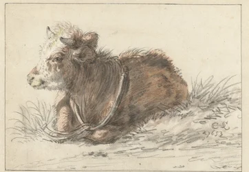 Lying Calf, Facing Left