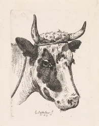 Head of a Spotted Cow (First Suite)