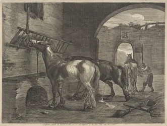 Horse Stable