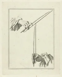 Bows