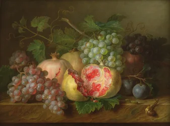 Still Life of Pomegranates, Grapes and Plums on a Marble Ledge