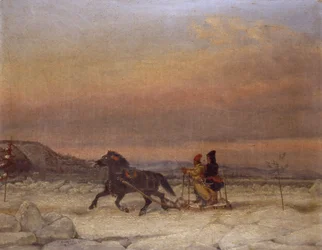 Sledge in the Snow