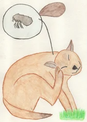 The Naughty Flea