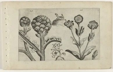 Artichoke and Prickly Thistle
