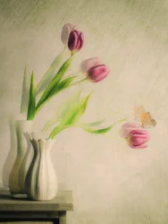 Dreamy Tulips and Butterfly
