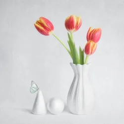 Spring Tulips Butterfly