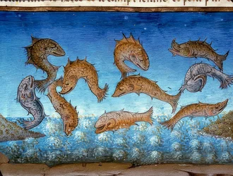 The End of the World: The Fish Will Swim Above