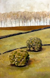 Spectators, Cotswolds