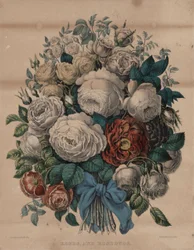 Roses and Rosebuds