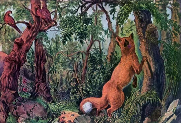 The Puzzled Fox