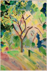 Tree in the Castle Park in Pretzfeld