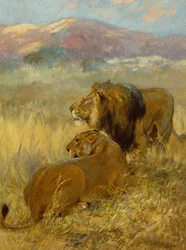 A Lion and Lioness Protecting their Territory