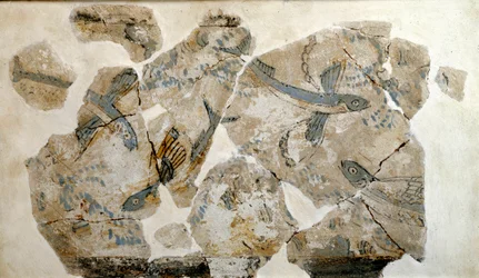 Cycladic art: fragment of a fresco depicting flying fish (sea swallows). From the site of Phylakopi (island of Melos), 2500 BC. Dimensions: 23 cm. Athens, National Archaeological Museum