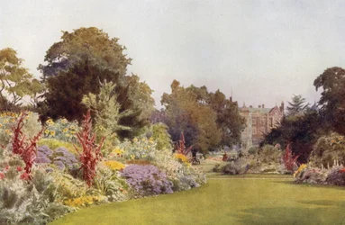 A Glade off the Lawn, Sandringham