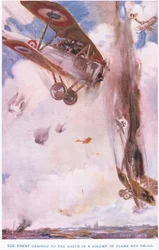 The enemy crashed to the earth in a column of smoke