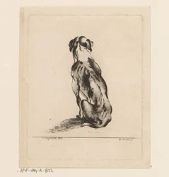 Sitting Dog Seen from the Back