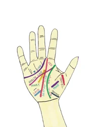 Palm Hand
