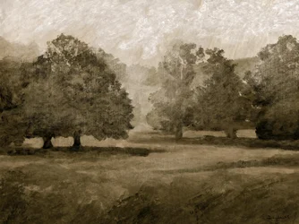 Castle Grounds