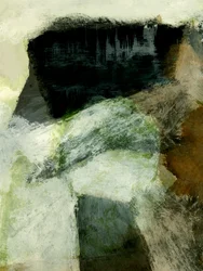 Jungle