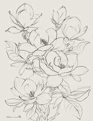 Magnolia Tree