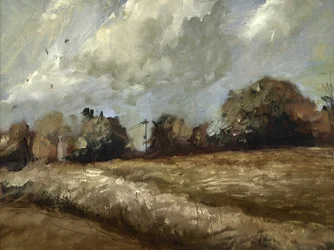 Oak Trees