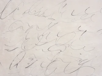 Scribs